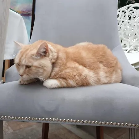 Kaszubianka Nocleg ze śniadaniem