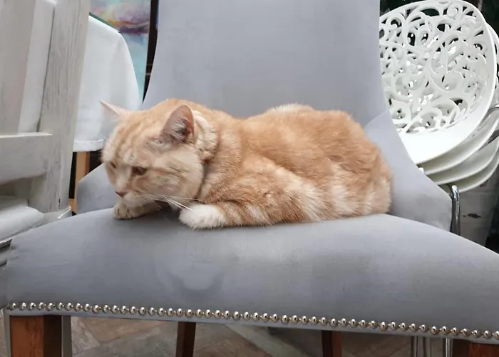 Kaszubianka Bed and breakfast